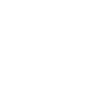 logo-laicas